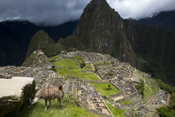 I, like Hiram Bingham, could not help but be astounded by my first glimpse of the sublime city. Shrouded in clouds, and punctuated by the intense green grass and vegetation of the wet Andes, the stone city is truly as otherwordly as the all the guidebooks proclaim. 