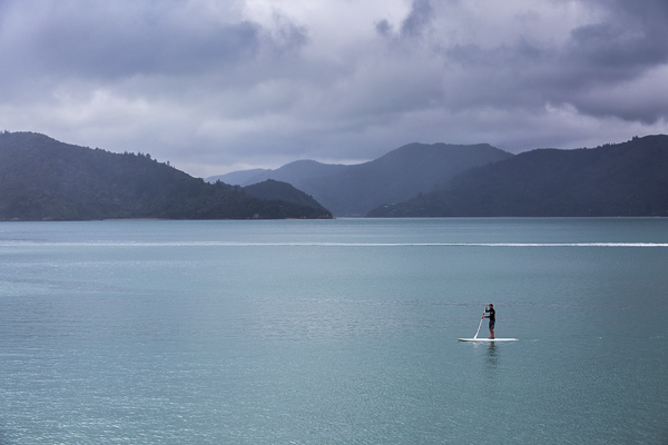 Mark paddle boarding in New Zealand's Marlborough Sounds--so perfectly described as "sea-drowned valleys". Our paddle boarding experience here included gliding over large winged stingrays and thousands of jellyfish.