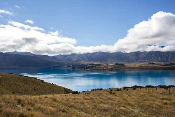 Awed by Lake Tekapo's remarkable color, I learned that it's a product of glacial sediment turned into fine dust particles which are suspended in water. When light and the blue of the sky reflect off these particles, it creates the unusually bright blue hue. 
